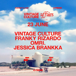 VINTAGE CULTURE cover image