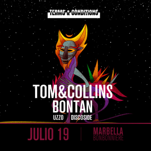Terms & Conditions (Tom & Collins)