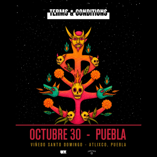 Terms & Conditions - Puebla