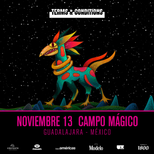 Terms & Conditions - Guadalajara