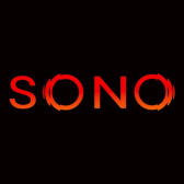 Sono International image